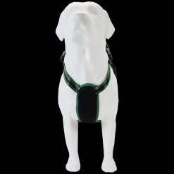 Marvel Loki Cosplay Mini Backpack Dog Harness New