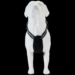 Star Wars Darth Vader Cosplay Mini Backpack Dog Harness Online